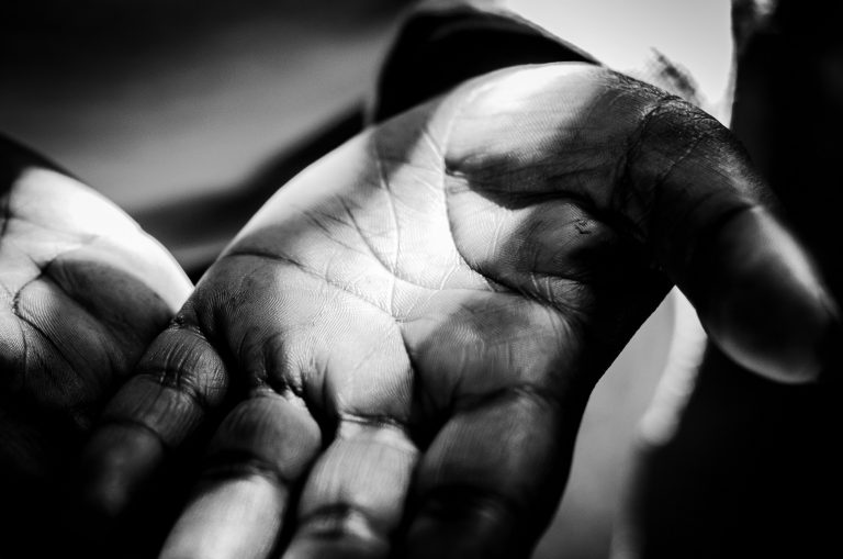 cutting-a-covenant-olive-tree-blog