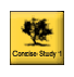 Concise NIV Study Collection