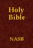New American Standard Bible - NASB