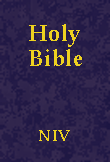 NIV Family Pack