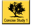 Concise Collections