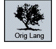 Original Language Bibles Collection