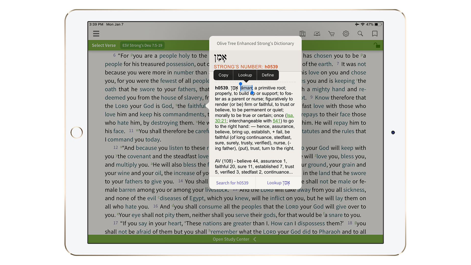 What Does Amen Mean Olive Tree Blog what-does-amen-mean-olive-tree-blog
