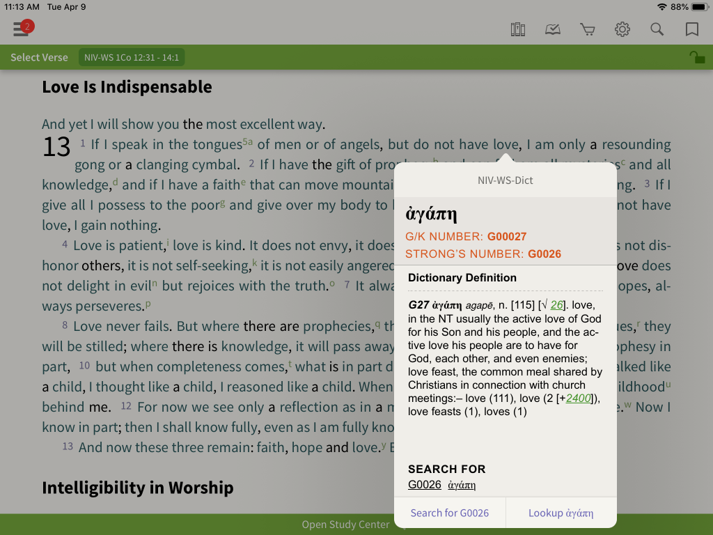 NIV Word Study Bible 1