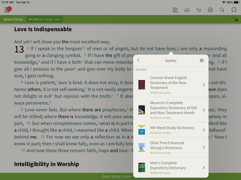 NIV Word Study Bible 3