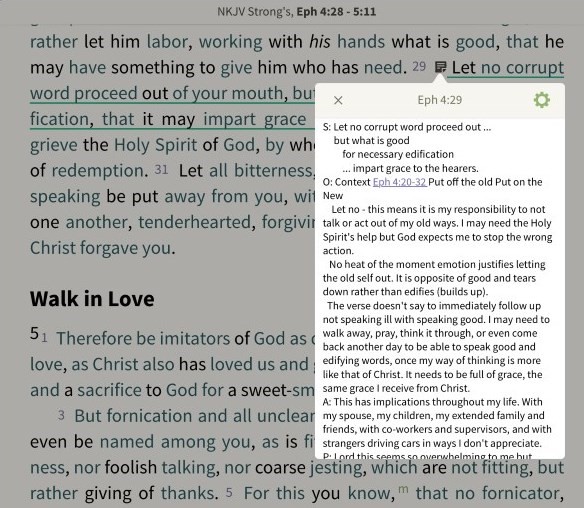 Lifeconnect Study Bible 2