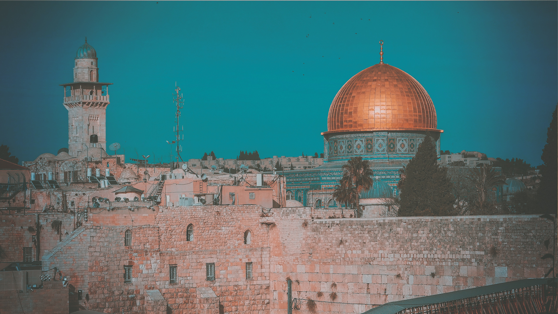 Pentecost A Fulfillment of the Jewish Feast Olive Tree Blog