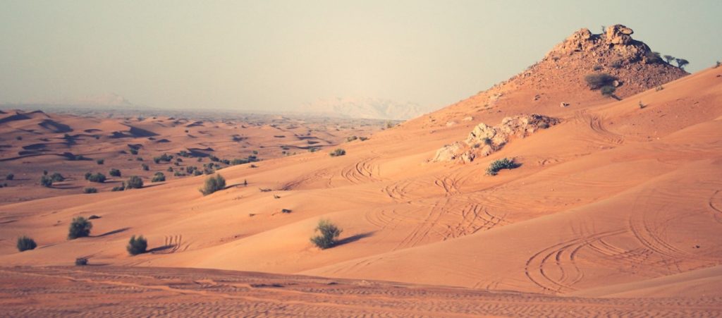 14 facts of biblical life