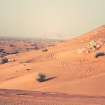 14 facts of biblical life