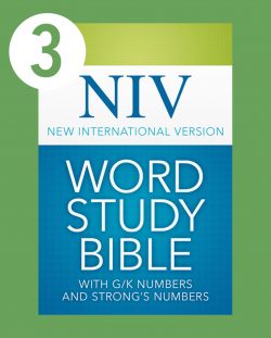 niv word study bible with g/k and strong's numbers