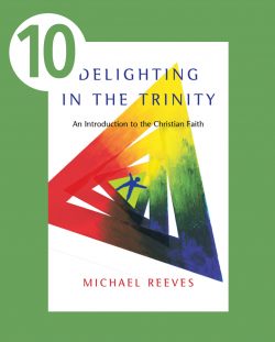 delighting in the trinity an introduction to the christian faith