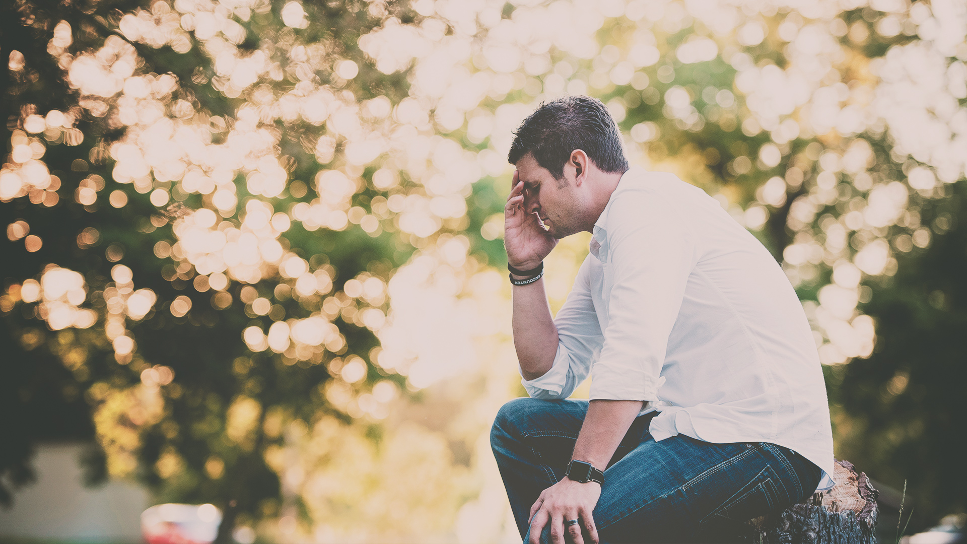 Psalm 51 Repenting Like David Olive Tree Blog Psalm 51 Repenting Like David Olive Tree Blog