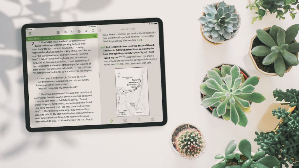 Life Application Bible Commentary