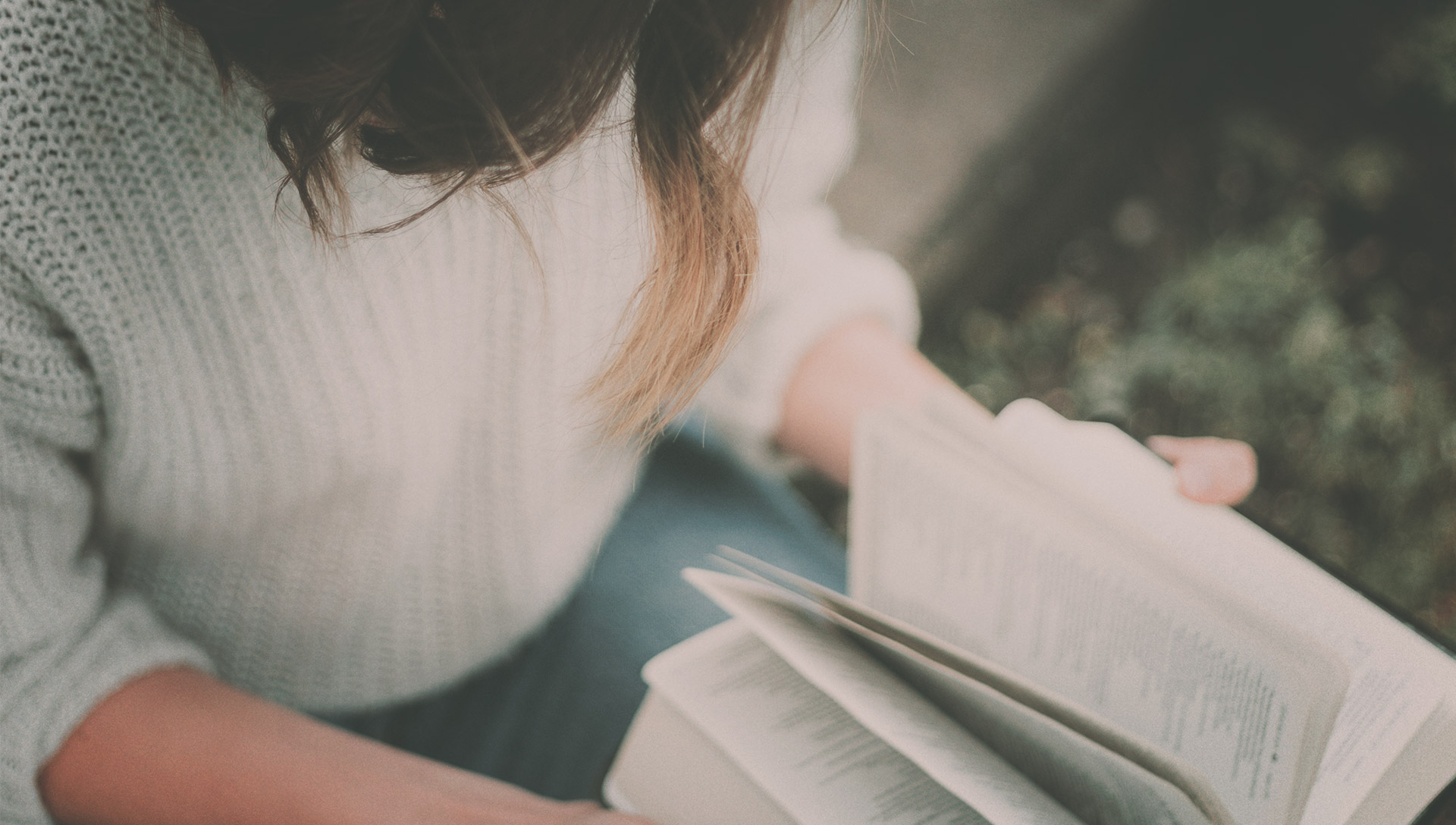 5 Twisted Scriptures Olive Tree Blog