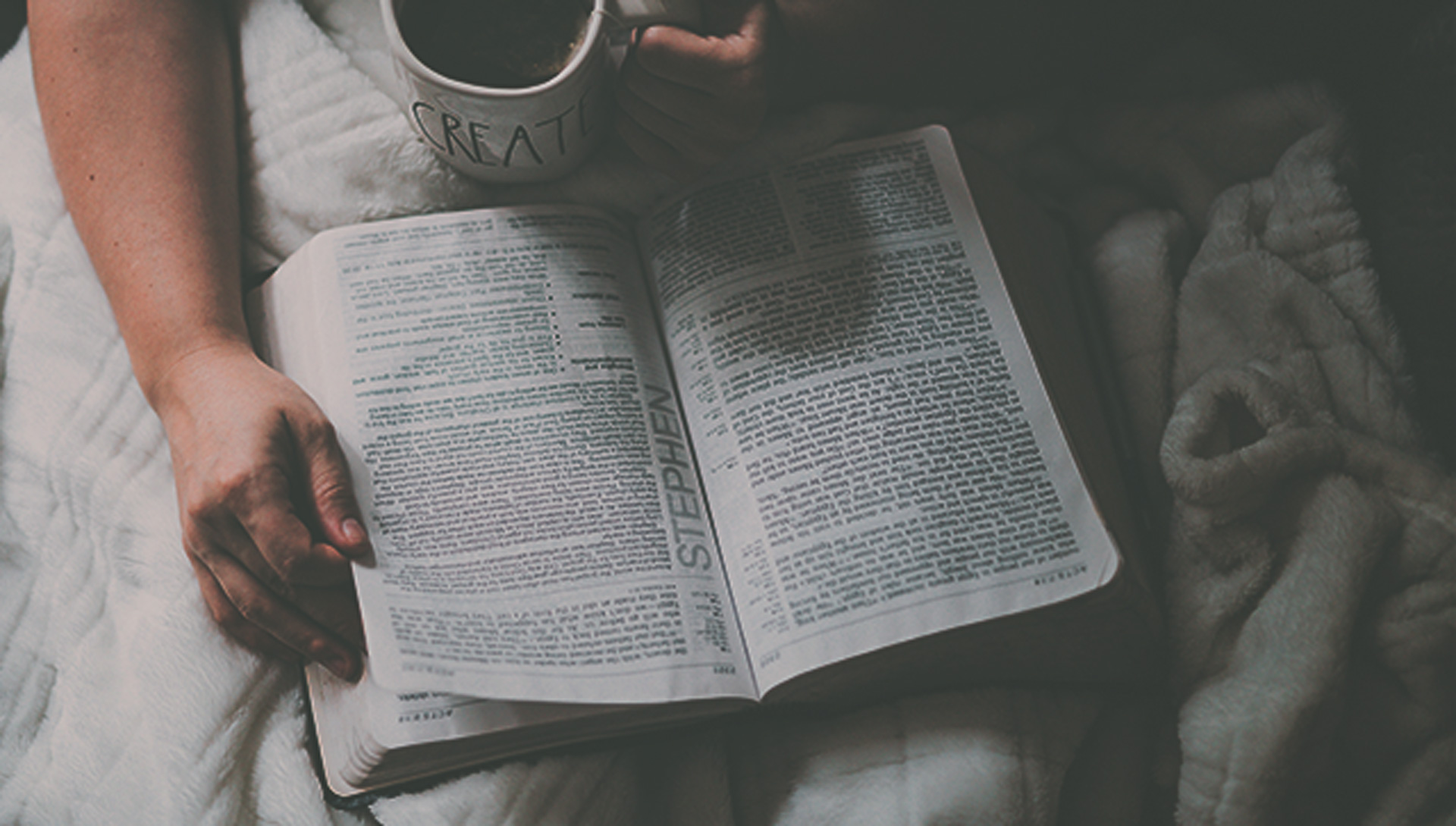 Getting Started Bible Handbooks Olive Tree Blog