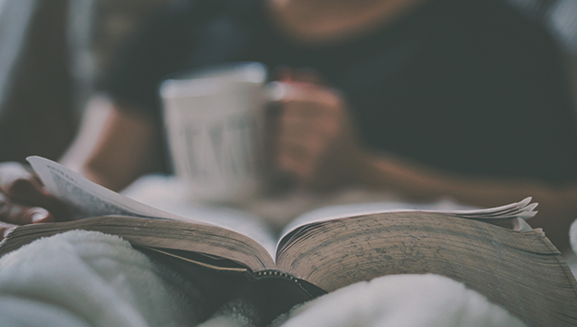A walk thru the book of luke walk thru the bible discussion guides a savior for the world