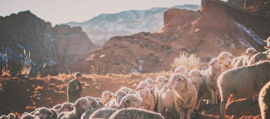 Return to the World of the Bible