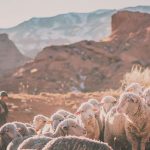 Return to the World of the Bible