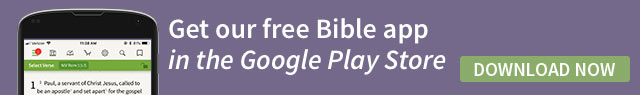 Olive Tree Bible App Android