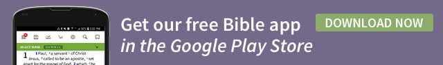 Olive Tree Bible App Android