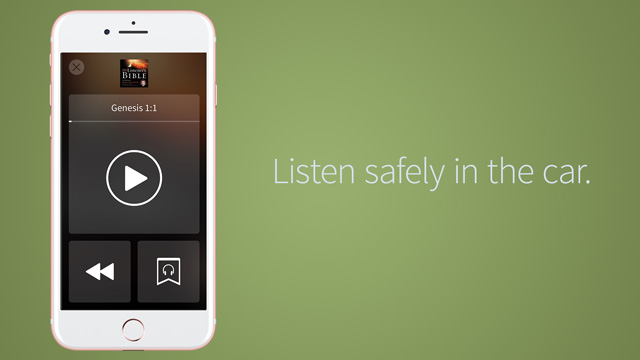 Olive Tree Audio 8