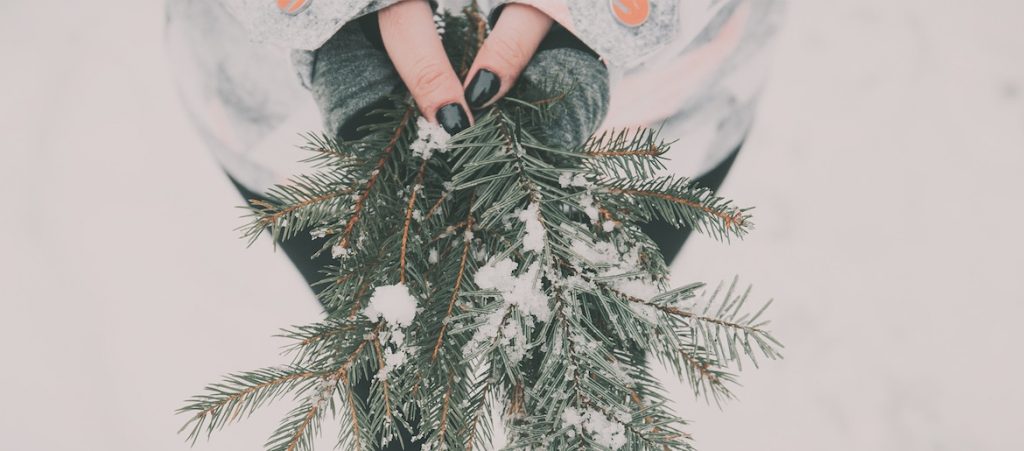 Virgin Birth of Jesus