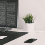 Olive Tree Windows Update