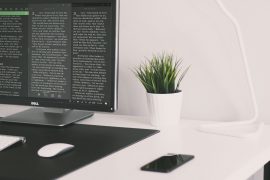 Olive Tree Windows Update