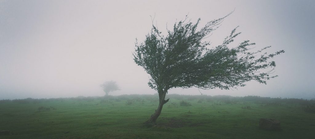 Anointing Holy Spirit Old Testament MacArthur