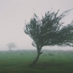 Anointing Holy Spirit Old Testament MacArthur