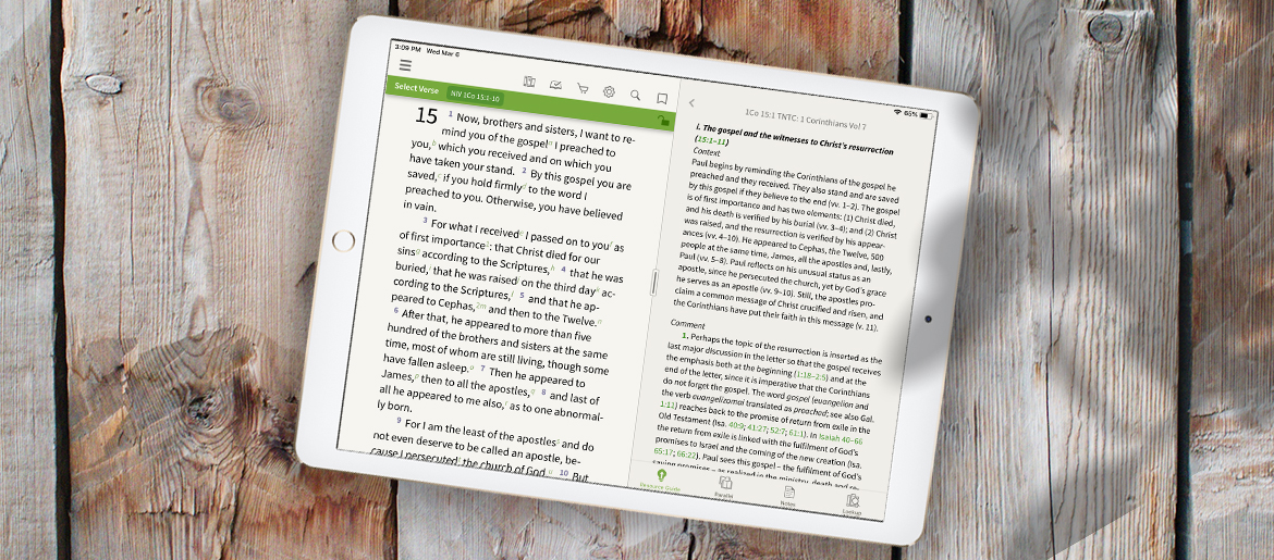 Did the resurrection happen olive tree blog