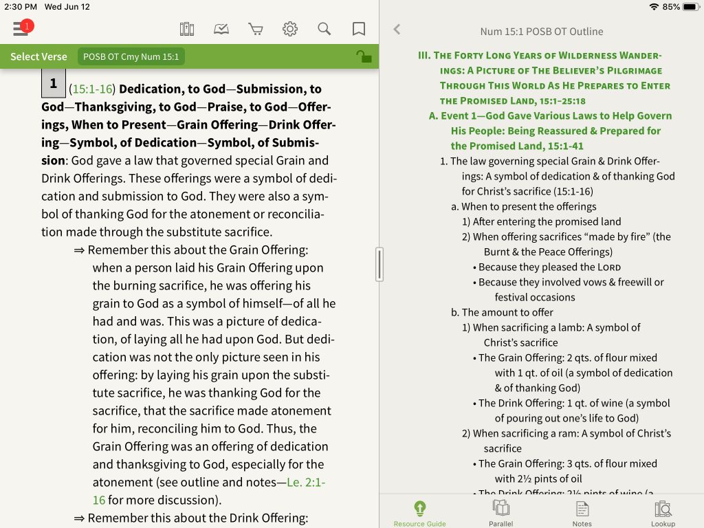 Review Preacher's Outline & Sermon Bible Commentary