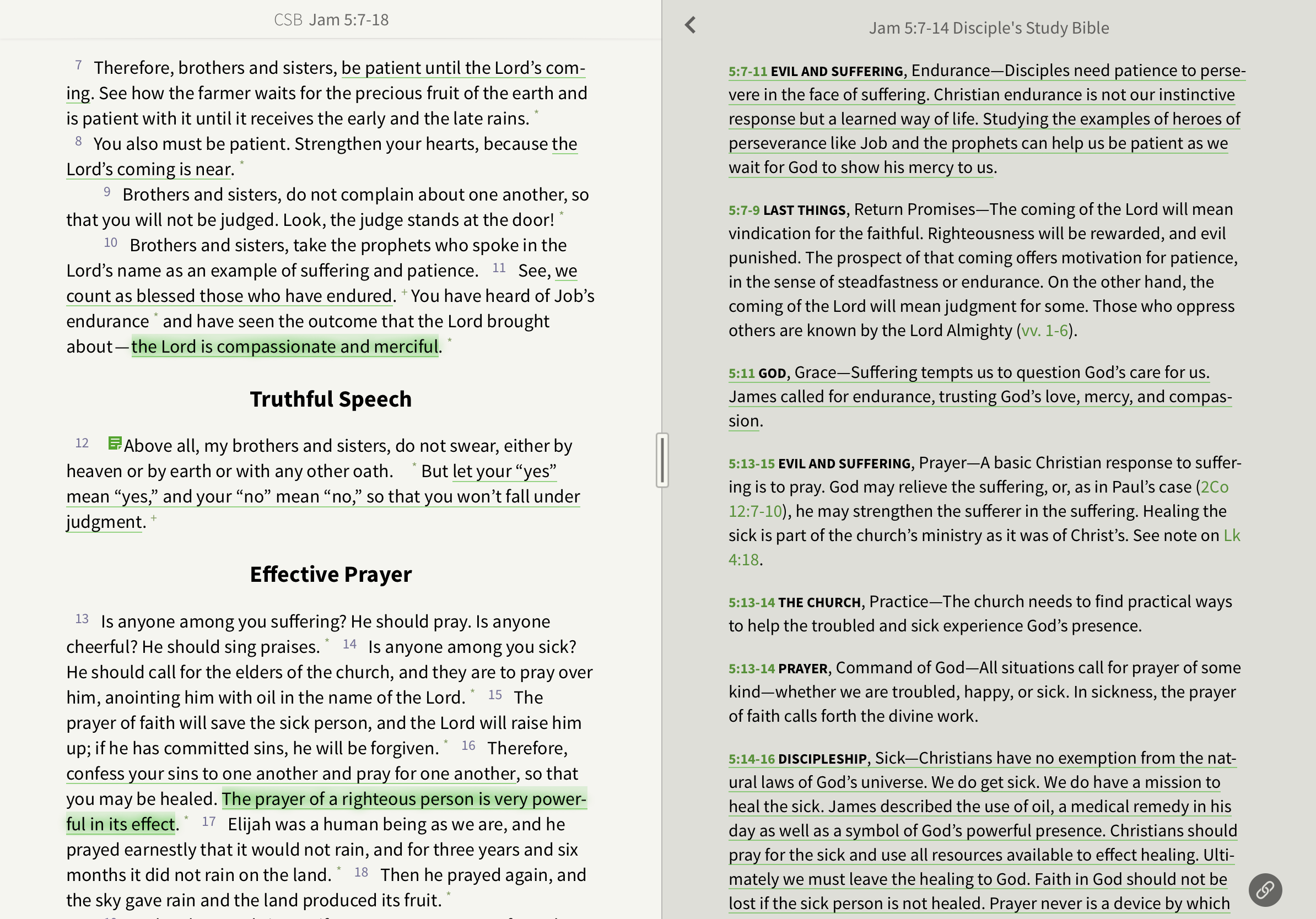 Olive Tree Bible App