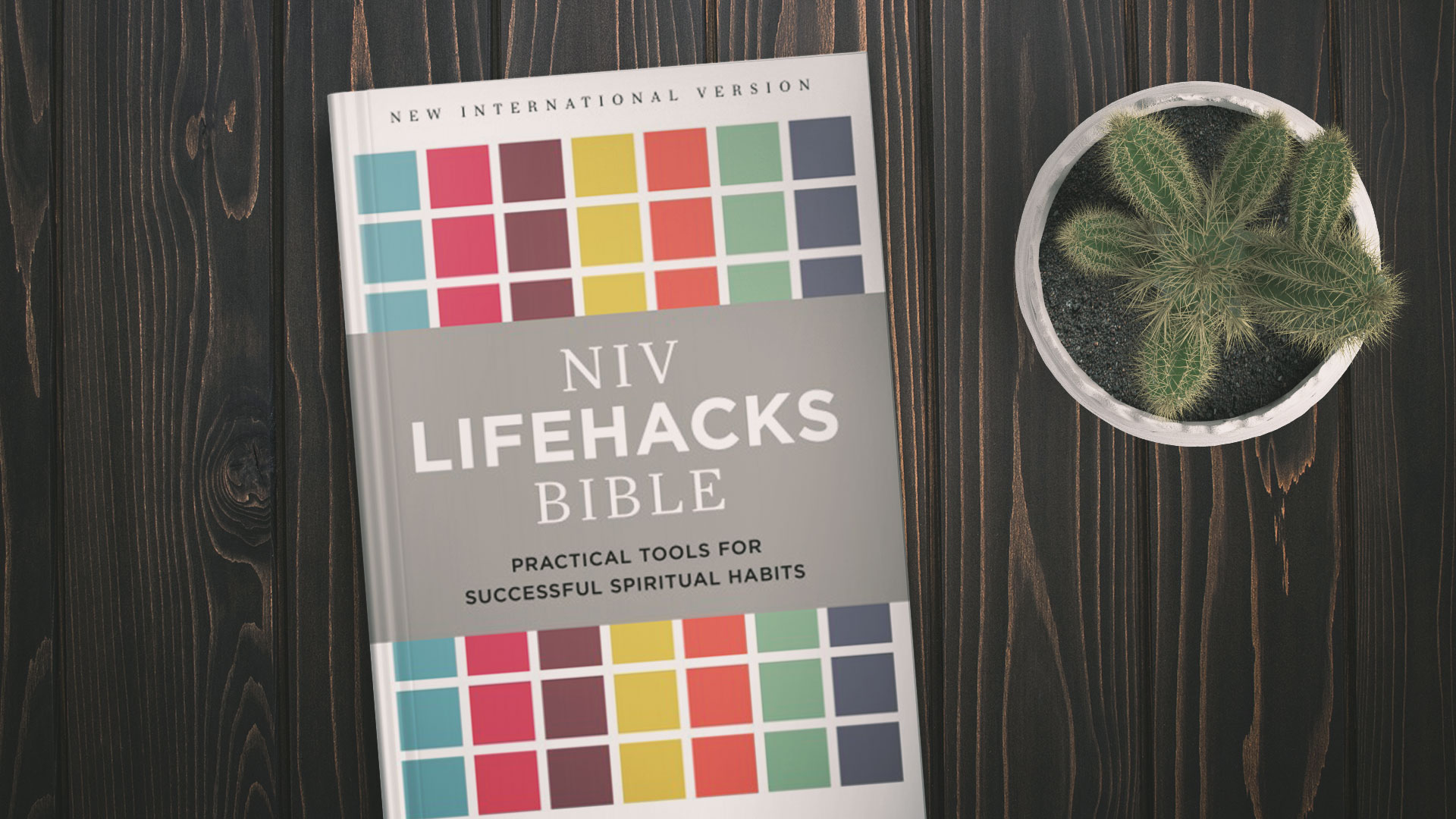 NIV Lifehacks Bible