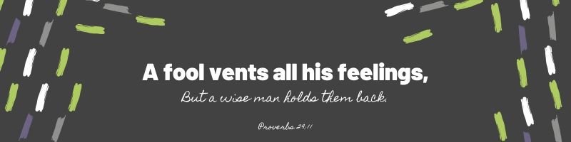 Proverbs 29:11