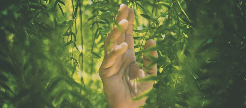 Commentary on Ezra 7