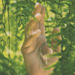 Commentary on Ezra 7