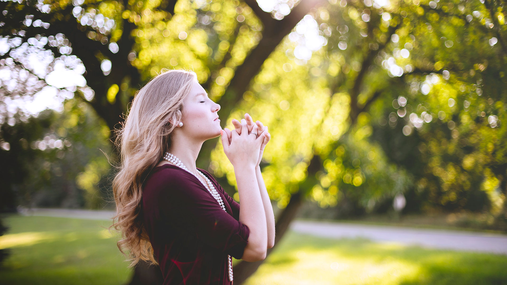 Praying for Healing - Olive Tree Blog