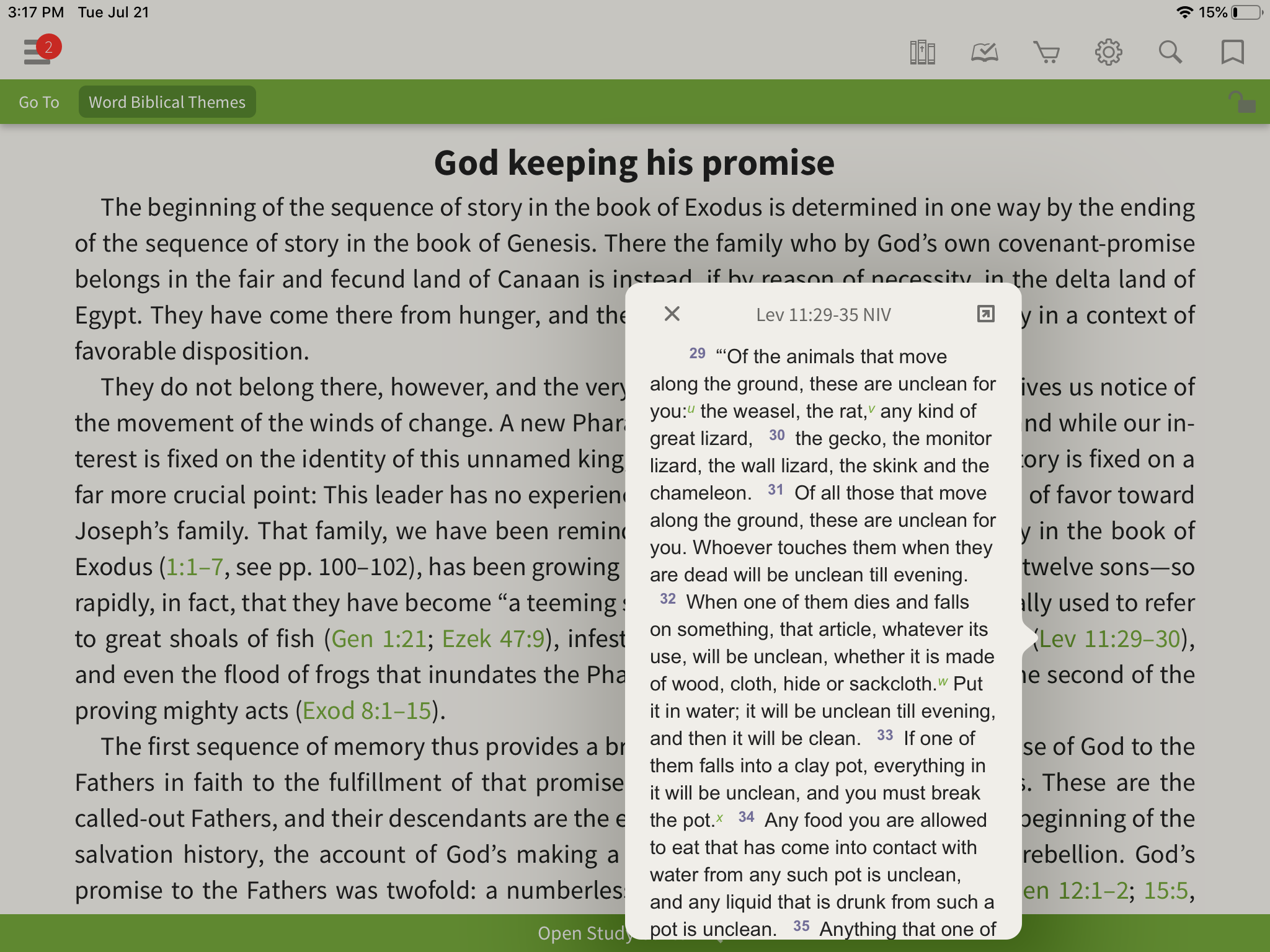 Exodus excerpt from Word Biblical Themes