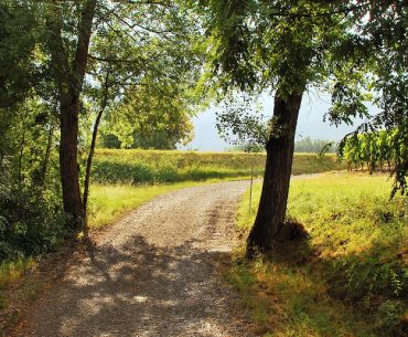 John's Gospel: A Winding Road