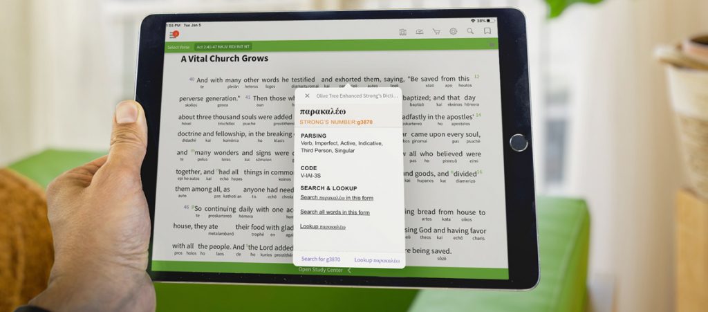 NKJV Reverse interlinear olive tree