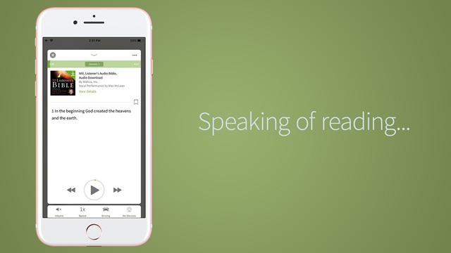 audio bible read along