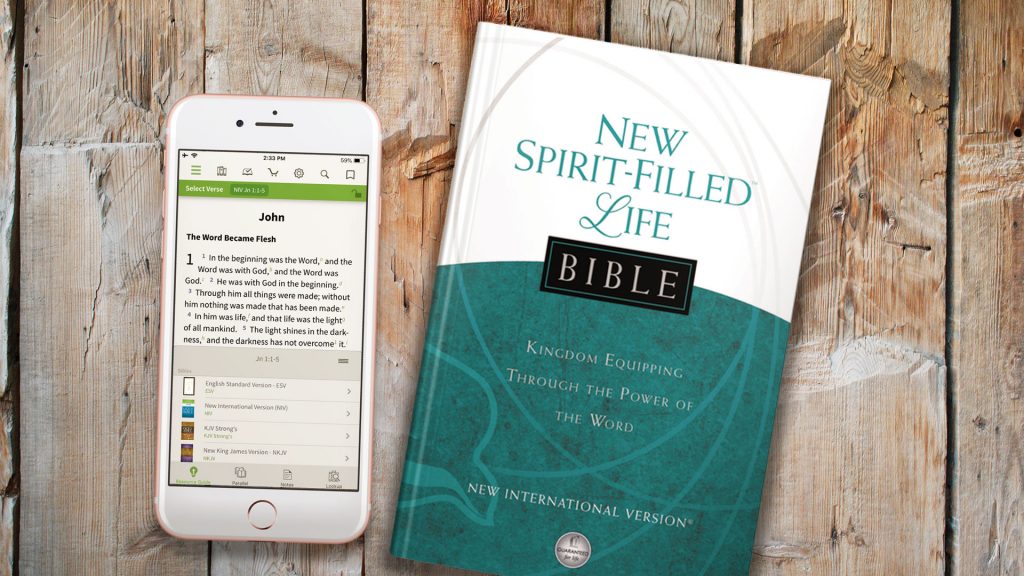 niv new spirit-filled life bible peace