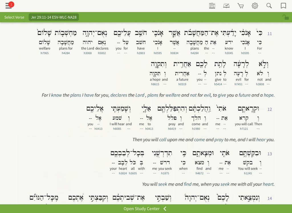 Hebrew Interlinear