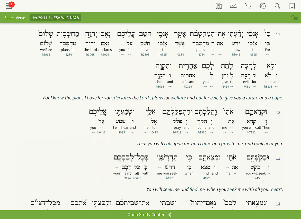 genesis 10 8 interlinear