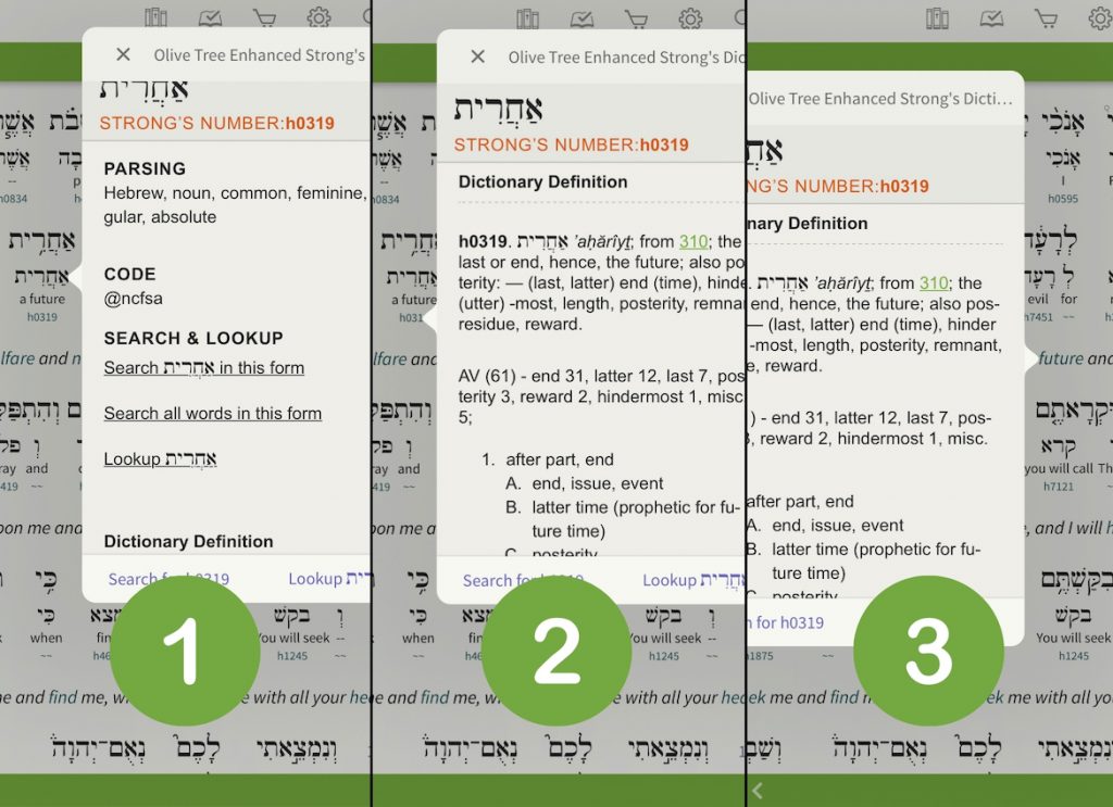 Strong's tagged interlinear