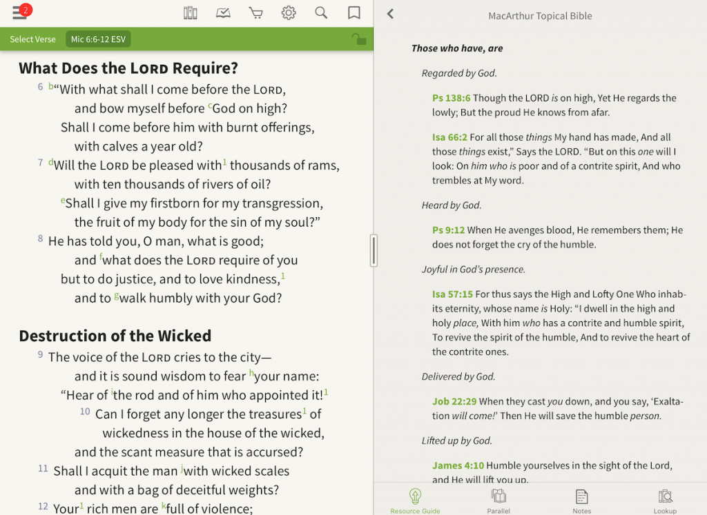 Topical Bible parallel view