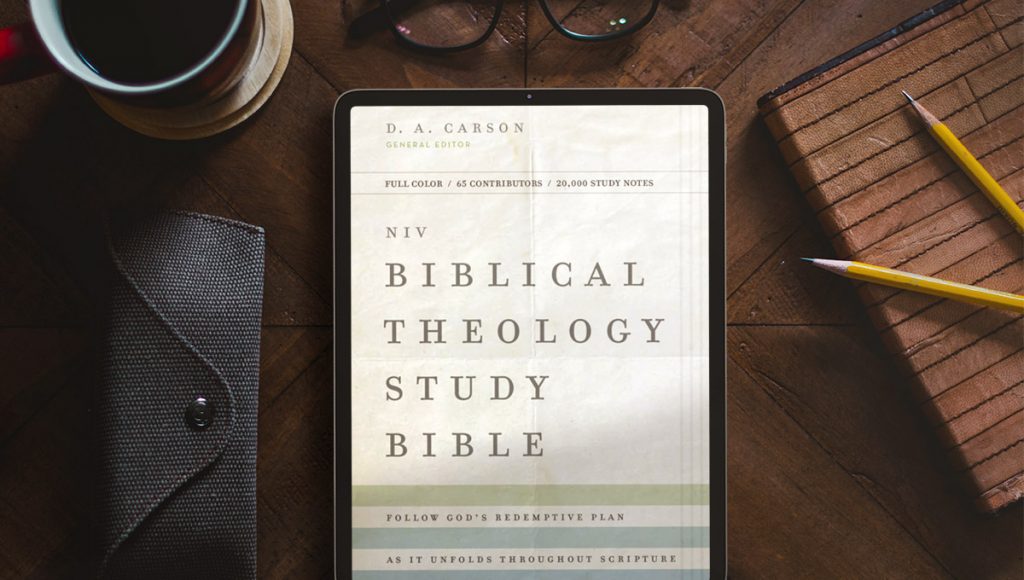 NIV Biblical Theology Study Bible Theology of the Psalms
