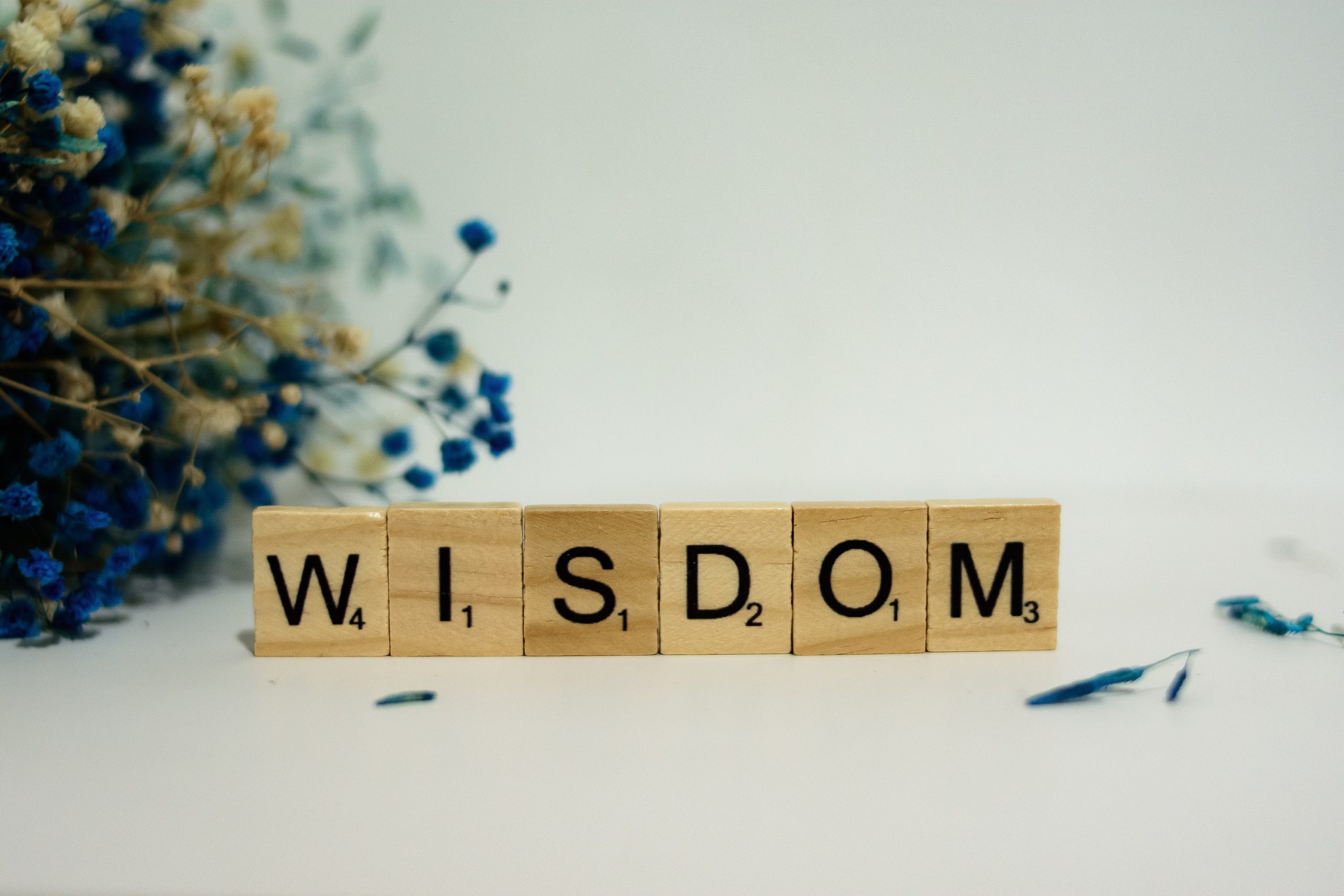 Pursuing Wisdom An Introduction To Proverbs Olive Tree Blog
