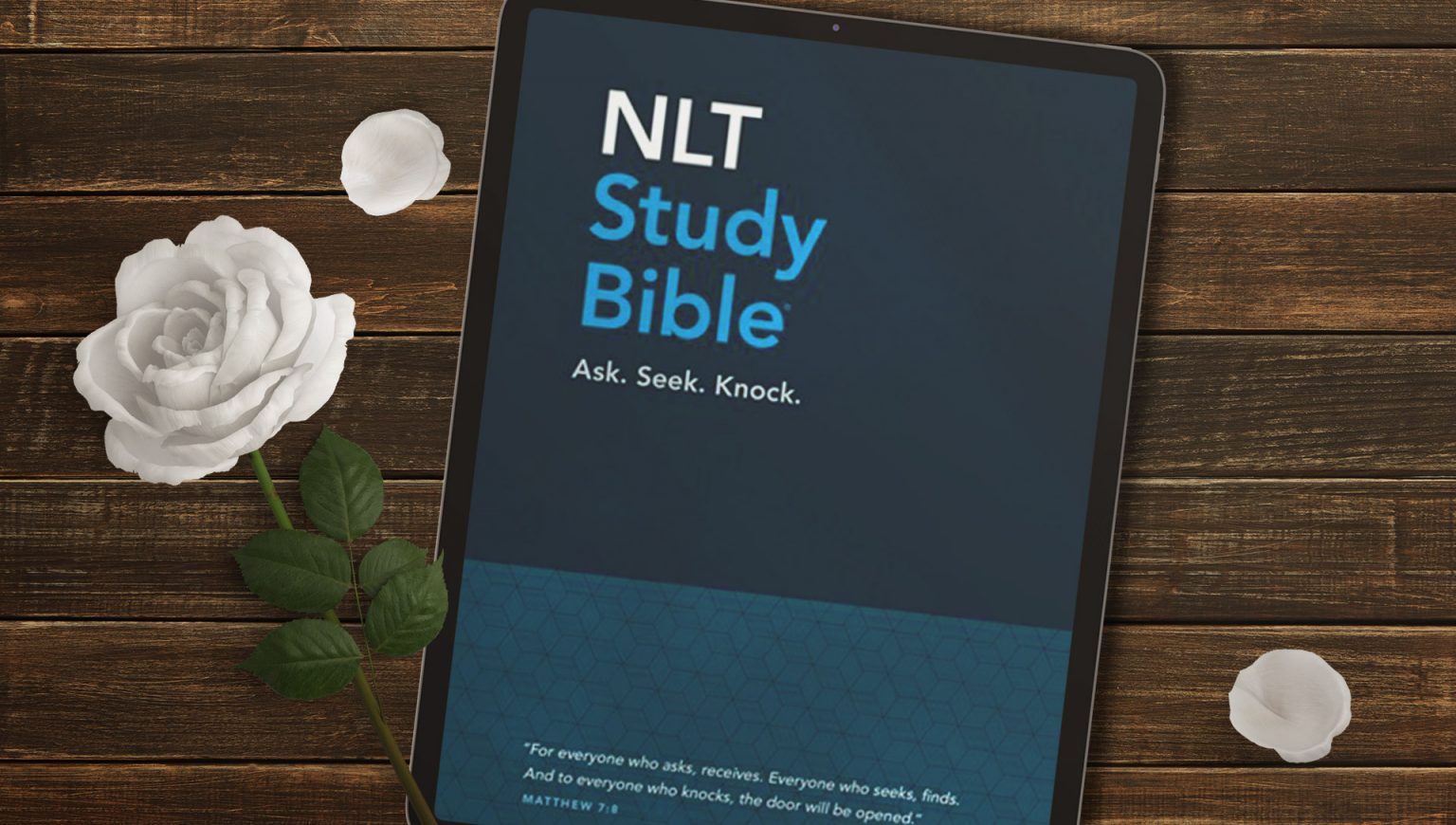 Nlt study bible video olive tree blog